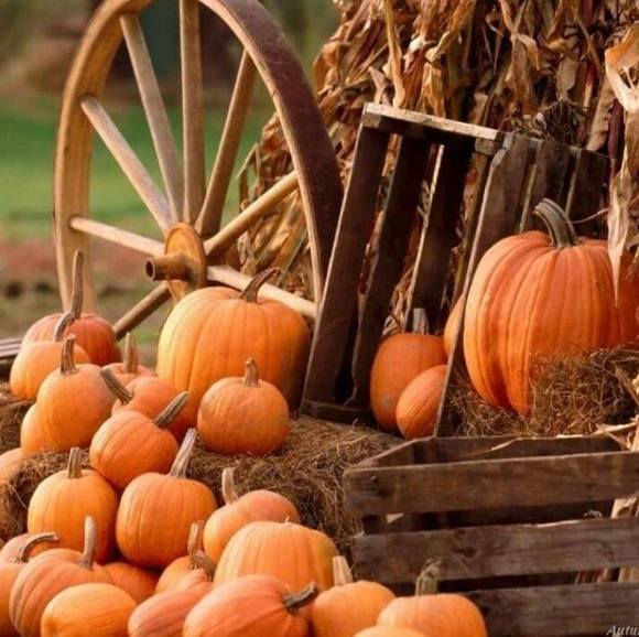 Meet your Posher, Jennifer - Picture 1 of 1